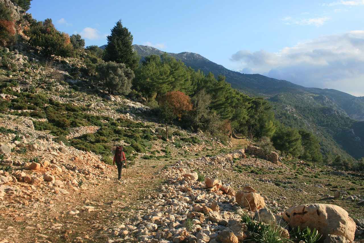 Kırtasiye En Yakın: Hızlı ve Kolay Ulaşım