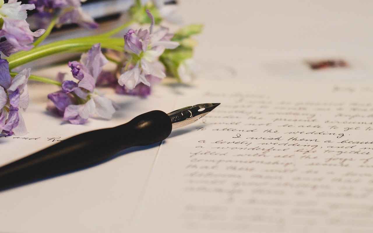 Lamy Dolma Kalem Seçerken Dikkat Edilmesi Gerekenler