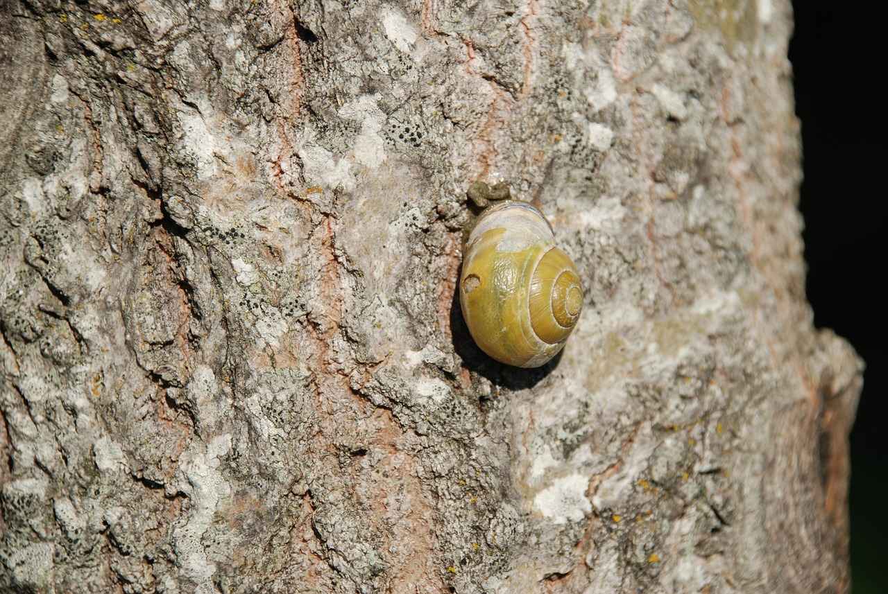 Slime Malzemeleri: Evde Yapım İçin En İyi Ürünler